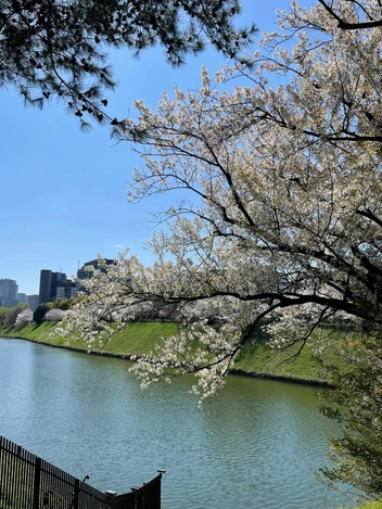 «Мне просто хана»: чем Япония впечатлила туристку из России