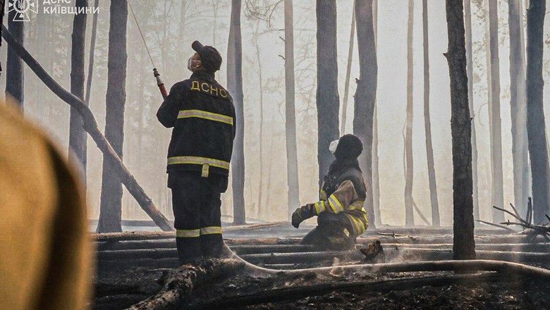 В Чернобыле произошел лесной пожар площадью 1100 гектаров