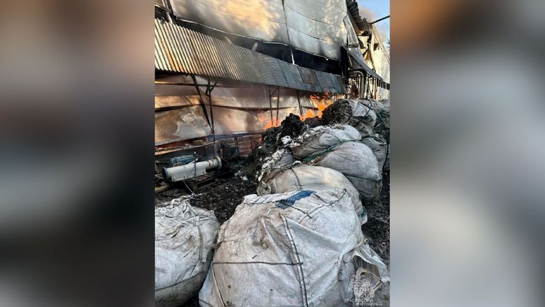 В Набережных Челнах локализовали крупный пожар на площади 6 тысяч квадратов